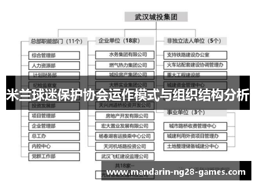 米兰球迷保护协会运作模式与组织结构分析 米兰球迷保护协会运作模式与组织结构分析