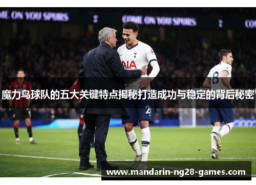魔力鸟球队的五大关键特点揭秘打造成功与稳定的背后秘密