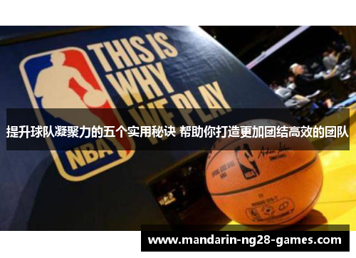 提升球队凝聚力的五个实用秘诀 帮助你打造更加团结高效的团队