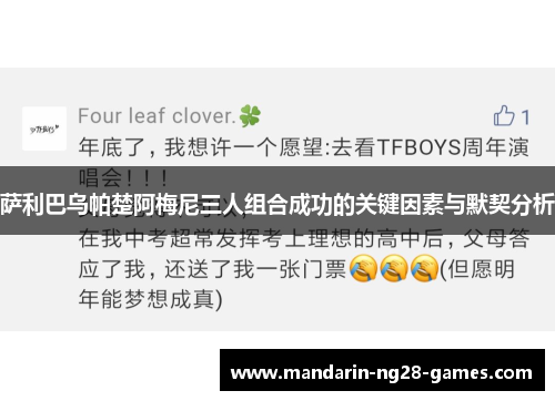 萨利巴乌帕楚阿梅尼三人组合成功的关键因素与默契分析