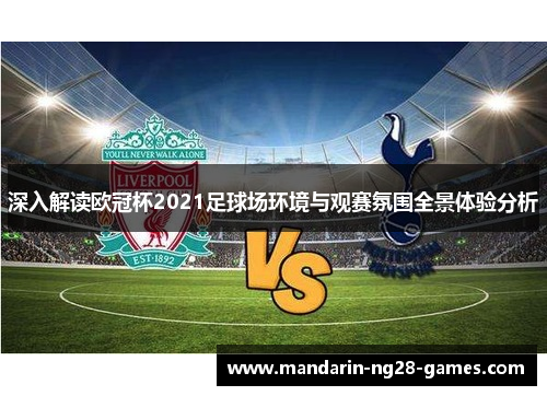 深入解读欧冠杯2021足球场环境与观赛氛围全景体验分析