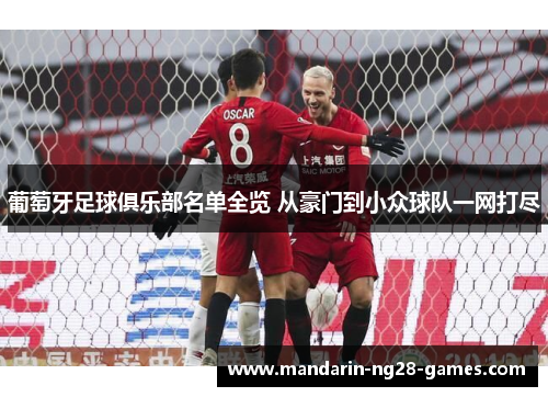 葡萄牙足球俱乐部名单全览 从豪门到小众球队一网打尽