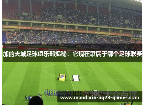 加的夫城足球俱乐部揭秘：它现在隶属于哪个足球联赛